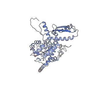 2699_3j9g_l_v1-2
Atomic model of the VipA/VipB, the type six secretion system contractile sheath of Vibrio cholerae from cryo-EM