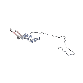 2699_3j9g_m_v1-1
Atomic model of the VipA/VipB, the type six secretion system contractile sheath of Vibrio cholerae from cryo-EM