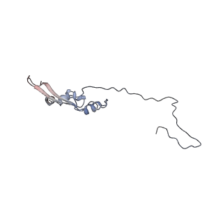 2699_3j9g_m_v1-2
Atomic model of the VipA/VipB, the type six secretion system contractile sheath of Vibrio cholerae from cryo-EM