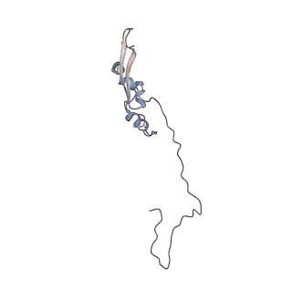 2699_3j9g_o_v1-1
Atomic model of the VipA/VipB, the type six secretion system contractile sheath of Vibrio cholerae from cryo-EM