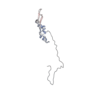 2699_3j9g_o_v1-2
Atomic model of the VipA/VipB, the type six secretion system contractile sheath of Vibrio cholerae from cryo-EM