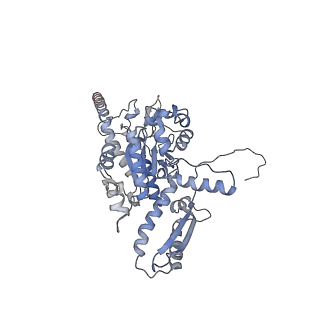 2699_3j9g_p_v1-2
Atomic model of the VipA/VipB, the type six secretion system contractile sheath of Vibrio cholerae from cryo-EM