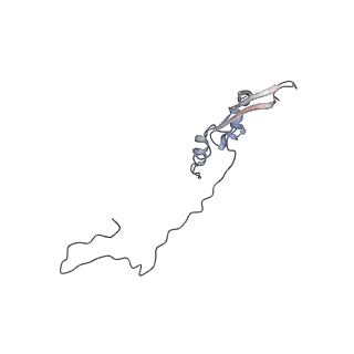 2699_3j9g_q_v1-1
Atomic model of the VipA/VipB, the type six secretion system contractile sheath of Vibrio cholerae from cryo-EM