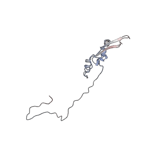 2699_3j9g_q_v1-2
Atomic model of the VipA/VipB, the type six secretion system contractile sheath of Vibrio cholerae from cryo-EM