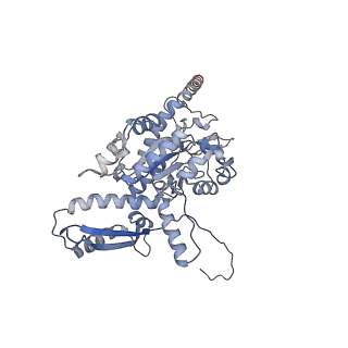 2699_3j9g_r_v1-1
Atomic model of the VipA/VipB, the type six secretion system contractile sheath of Vibrio cholerae from cryo-EM