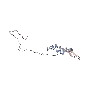 2699_3j9g_s_v1-1
Atomic model of the VipA/VipB, the type six secretion system contractile sheath of Vibrio cholerae from cryo-EM
