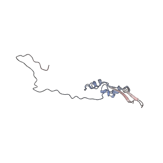 2699_3j9g_s_v1-2
Atomic model of the VipA/VipB, the type six secretion system contractile sheath of Vibrio cholerae from cryo-EM