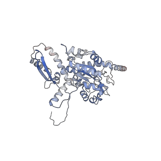 2699_3j9g_t_v1-1
Atomic model of the VipA/VipB, the type six secretion system contractile sheath of Vibrio cholerae from cryo-EM