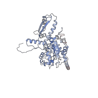 2699_3j9g_v_v1-1
Atomic model of the VipA/VipB, the type six secretion system contractile sheath of Vibrio cholerae from cryo-EM