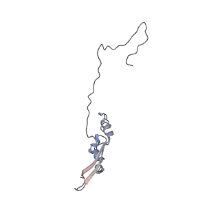 2699_3j9g_w_v1-1
Atomic model of the VipA/VipB, the type six secretion system contractile sheath of Vibrio cholerae from cryo-EM
