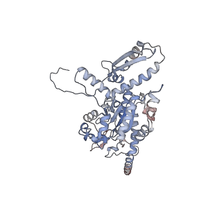2699_3j9g_x_v1-1
Atomic model of the VipA/VipB, the type six secretion system contractile sheath of Vibrio cholerae from cryo-EM