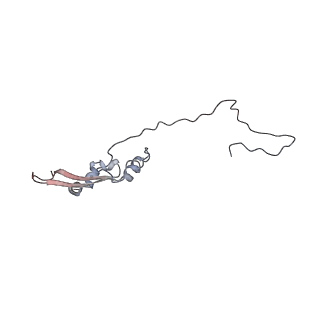 2699_3j9g_y_v1-1
Atomic model of the VipA/VipB, the type six secretion system contractile sheath of Vibrio cholerae from cryo-EM