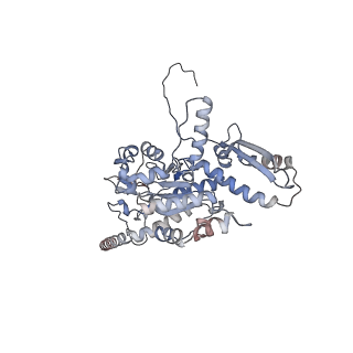 2699_3j9g_z_v1-1
Atomic model of the VipA/VipB, the type six secretion system contractile sheath of Vibrio cholerae from cryo-EM
