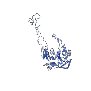 2832_3j92_C_v1-2
Structure and assembly pathway of the ribosome quality control complex