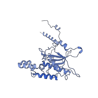 2832_3j92_D_v1-2
Structure and assembly pathway of the ribosome quality control complex