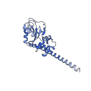 2832_3j92_F_v1-2
Structure and assembly pathway of the ribosome quality control complex