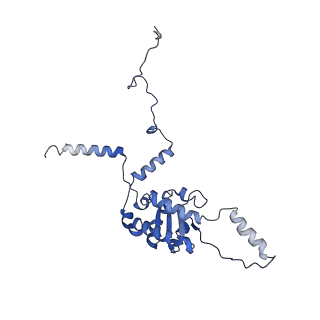 2832_3j92_G_v1-2
Structure and assembly pathway of the ribosome quality control complex