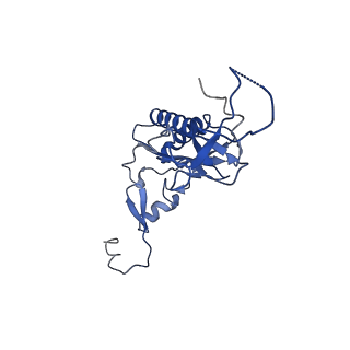 2832_3j92_I_v1-2
Structure and assembly pathway of the ribosome quality control complex