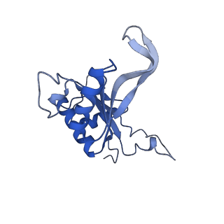 2832_3j92_J_v1-2
Structure and assembly pathway of the ribosome quality control complex