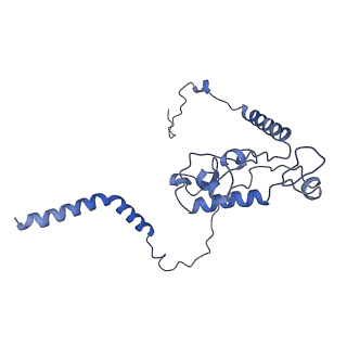 2832_3j92_L_v1-2
Structure and assembly pathway of the ribosome quality control complex