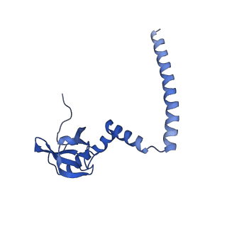 2832_3j92_M_v1-2
Structure and assembly pathway of the ribosome quality control complex