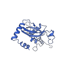 2832_3j92_N_v1-2
Structure and assembly pathway of the ribosome quality control complex