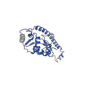 2832_3j92_O_v1-2
Structure and assembly pathway of the ribosome quality control complex