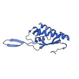 2832_3j92_P_v1-2
Structure and assembly pathway of the ribosome quality control complex