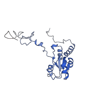 2832_3j92_Q_v1-2
Structure and assembly pathway of the ribosome quality control complex