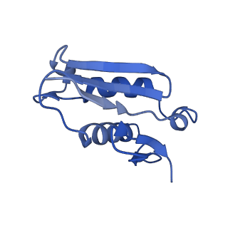 2832_3j92_U_v1-2
Structure and assembly pathway of the ribosome quality control complex