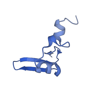 2832_3j92_W_v1-2
Structure and assembly pathway of the ribosome quality control complex