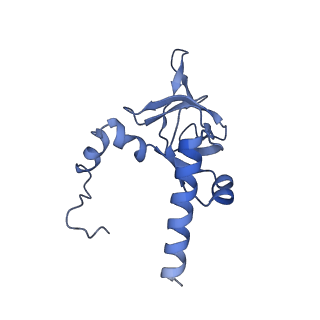2832_3j92_Y_v1-2
Structure and assembly pathway of the ribosome quality control complex