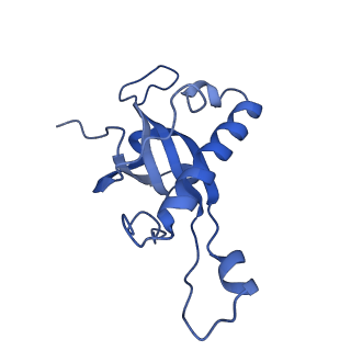 2832_3j92_Z_v1-2
Structure and assembly pathway of the ribosome quality control complex