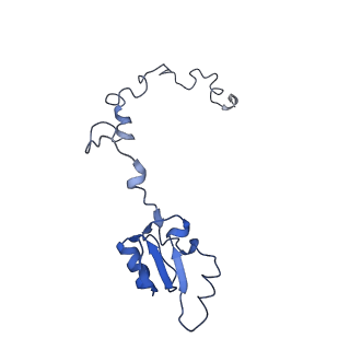 2832_3j92_a_v1-2
Structure and assembly pathway of the ribosome quality control complex