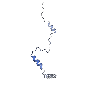 2832_3j92_b_v1-2
Structure and assembly pathway of the ribosome quality control complex