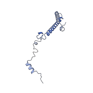 2832_3j92_h_v1-2
Structure and assembly pathway of the ribosome quality control complex
