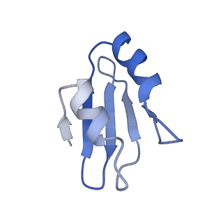 2832_3j92_k_v1-2
Structure and assembly pathway of the ribosome quality control complex