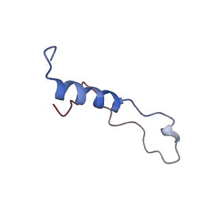 2832_3j92_l_v1-2
Structure and assembly pathway of the ribosome quality control complex