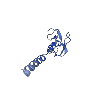 2832_3j92_p_v1-2
Structure and assembly pathway of the ribosome quality control complex