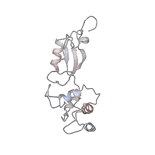 2832_3j92_t_v1-2
Structure and assembly pathway of the ribosome quality control complex