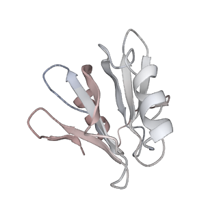 2832_3j92_u_v1-2
Structure and assembly pathway of the ribosome quality control complex