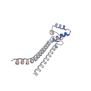 2832_3j92_v_v1-2
Structure and assembly pathway of the ribosome quality control complex