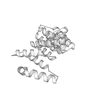 2832_3j92_y_v1-2
Structure and assembly pathway of the ribosome quality control complex