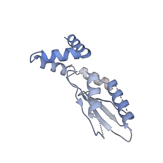 2832_3j92_z_v1-2
Structure and assembly pathway of the ribosome quality control complex