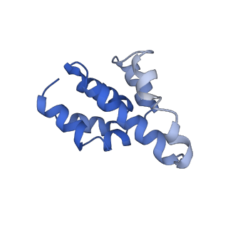 2870_3j9k_B_v1-1
Structure of Dark apoptosome in complex with Dronc CARD domain