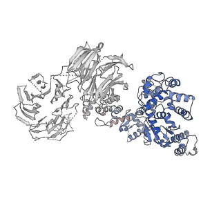 2870_3j9k_C_v1-1
Structure of Dark apoptosome in complex with Dronc CARD domain