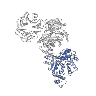 2870_3j9k_E_v1-2
Structure of Dark apoptosome in complex with Dronc CARD domain