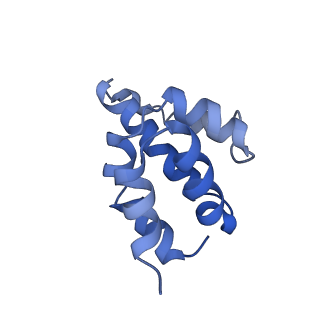 2870_3j9k_F_v1-1
Structure of Dark apoptosome in complex with Dronc CARD domain