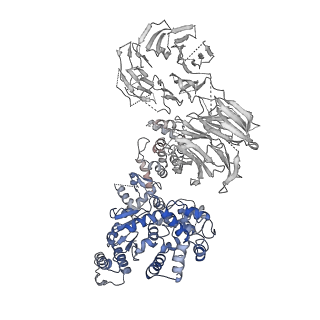 2870_3j9k_G_v1-1
Structure of Dark apoptosome in complex with Dronc CARD domain