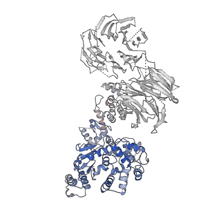 2870_3j9k_G_v1-2
Structure of Dark apoptosome in complex with Dronc CARD domain